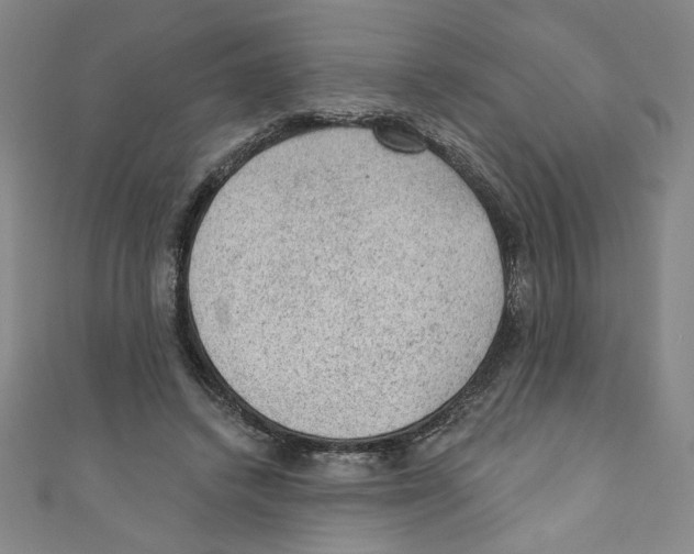 X0000110940448200907171611