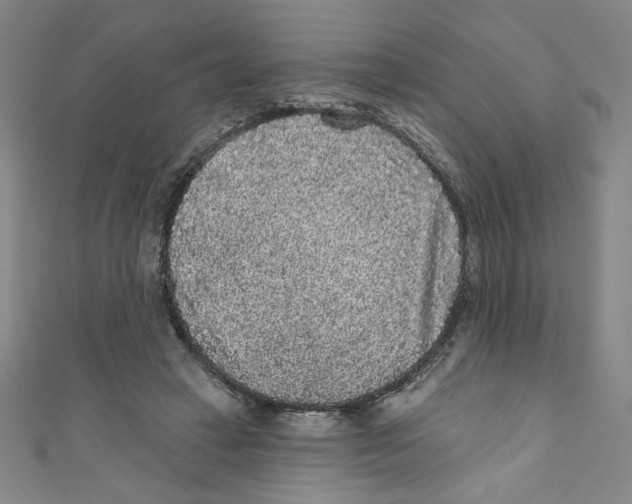 X0000110940449200907171611