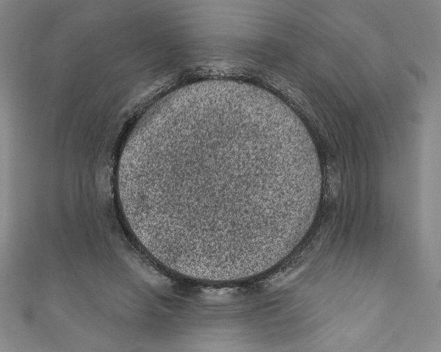 X0000110940450200907171611