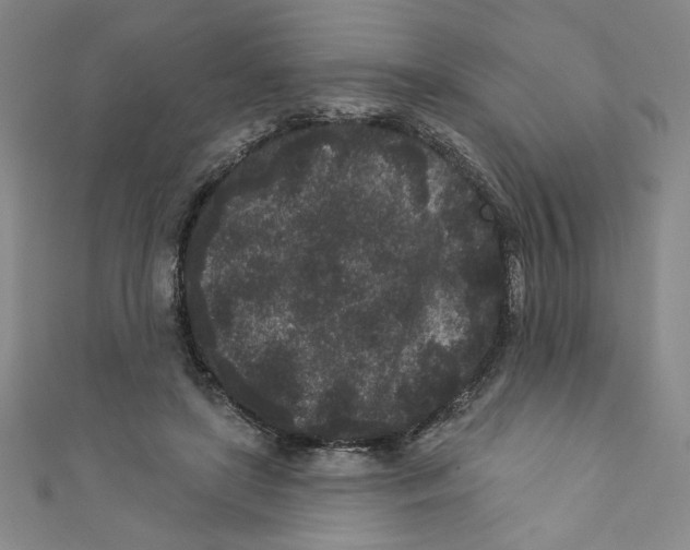 X0000110940451200907171611