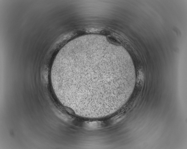 X0000110940452200907171611