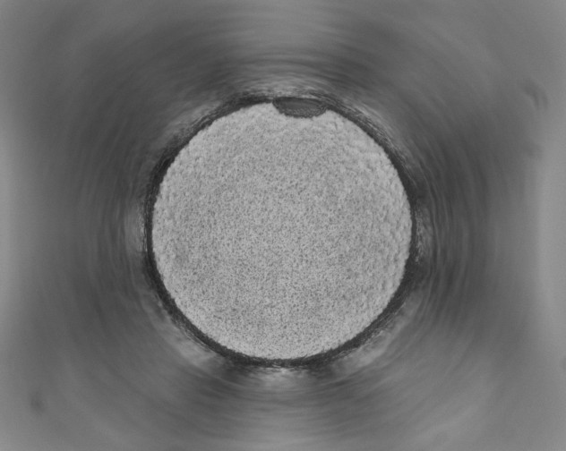 X0000110940453200907171611
