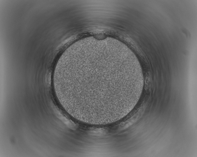 X0000110940454200907171611