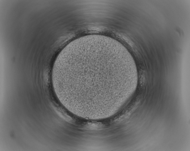 X0000110940455200907171611