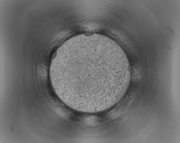 X0000110940456200907171611