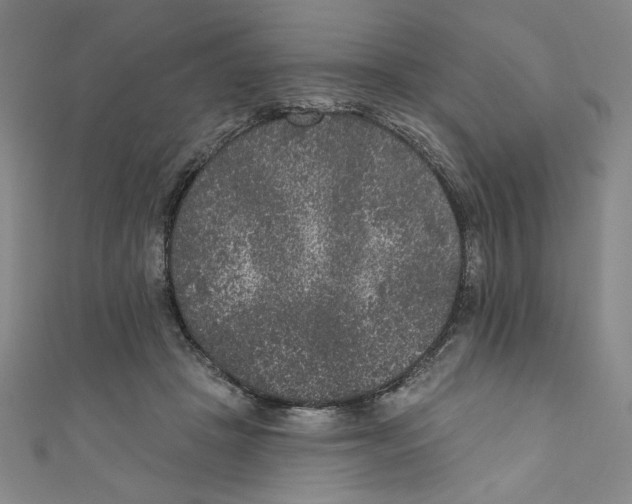 X0000110940457200907171611