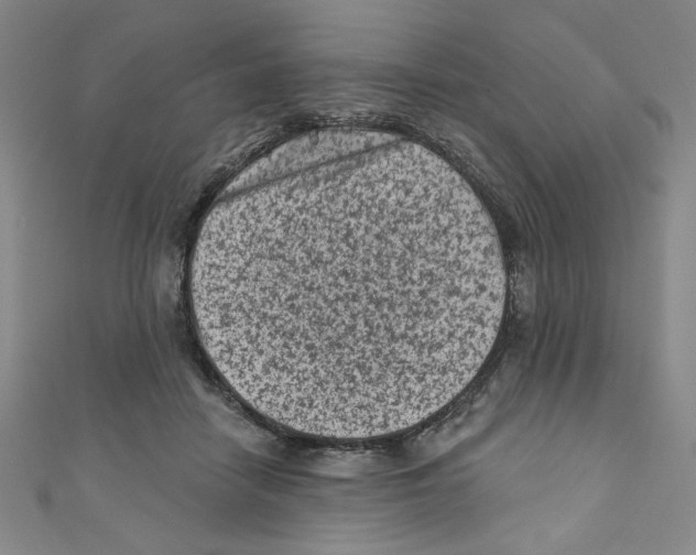 X0000110940458200907171611