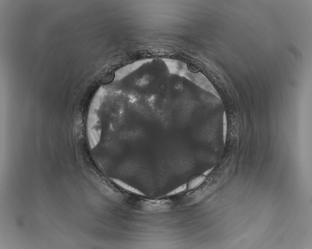 X0000110940465200907171611