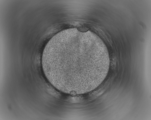 X0000110940466200907171611