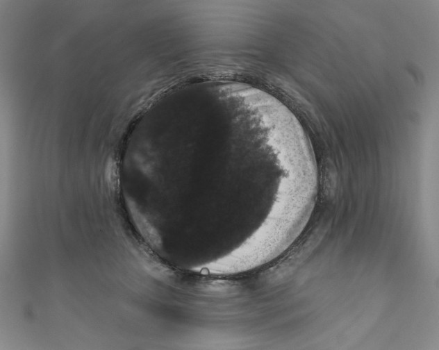 X0000110940467200907171612