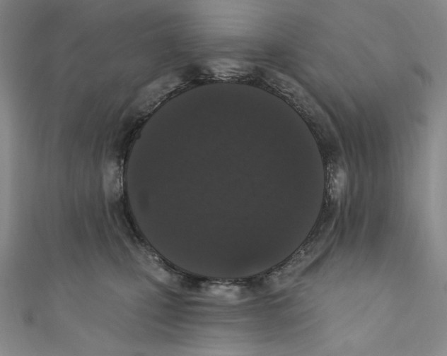 X0000110940471200907171612