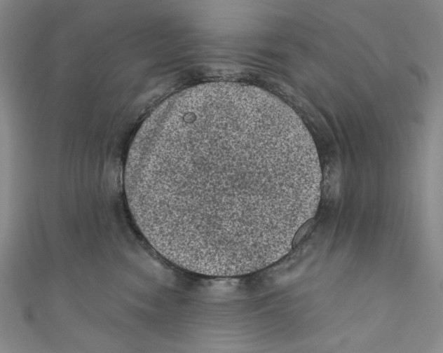 X0000110940474200907171612