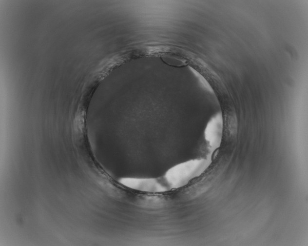 X0000110940475200907171612