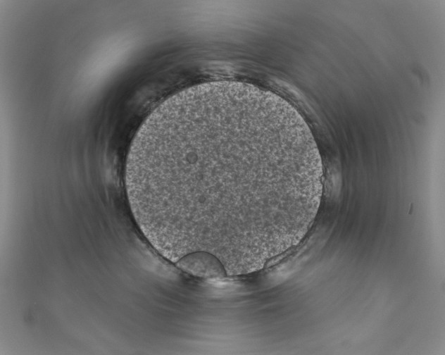 X0000110940477200907171612