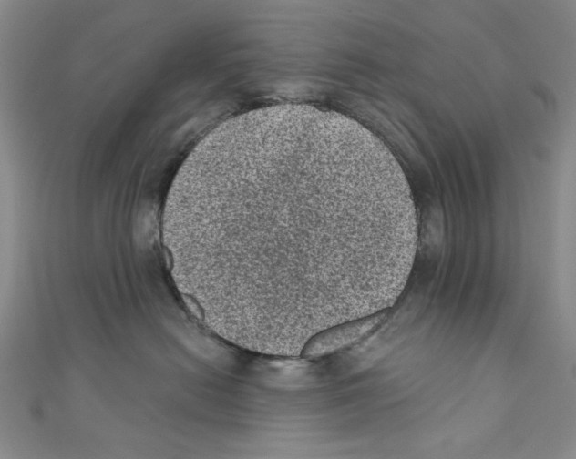 X0000110940478200907171612