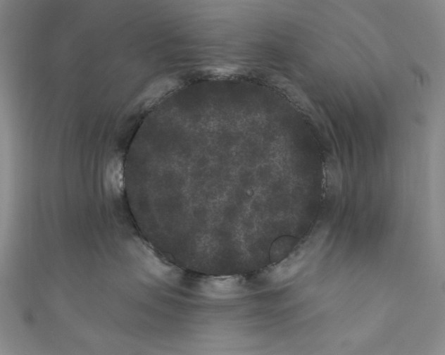 X0000110940479200907171612