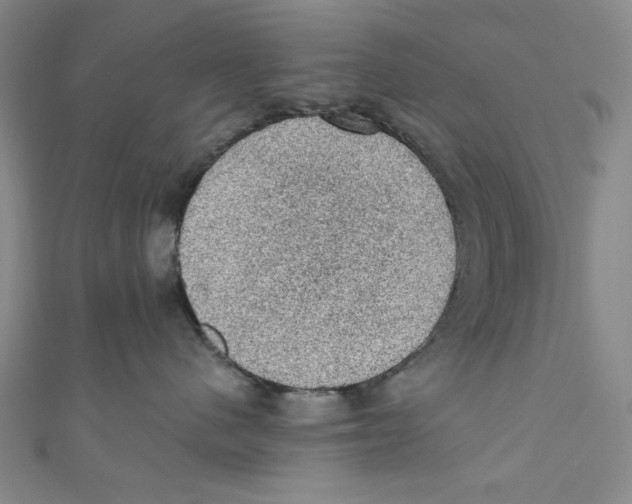 X0000110940480200907171612