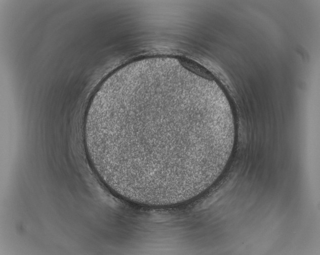 X0000110940481200907171611
