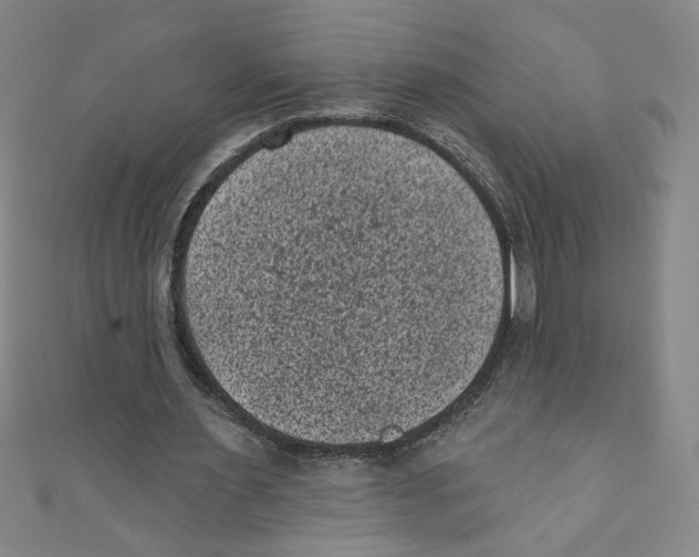 X0000110940483200907171611