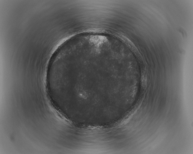 X0000110940484200907171611