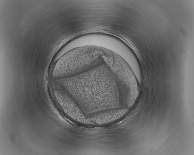 X0000110940485200907171611