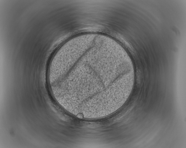 X0000110940486200907171611