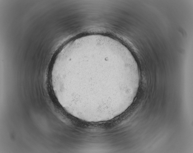 X0000110940487200907171611