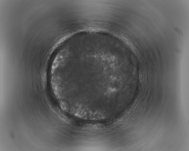 X0000110940488200907171611