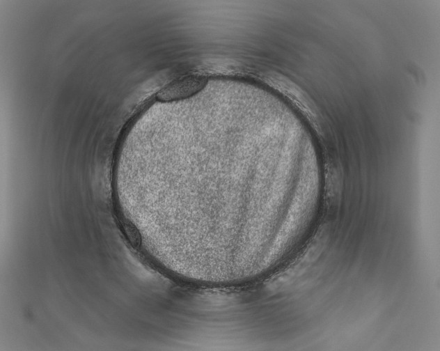 X0000110940489200907171611