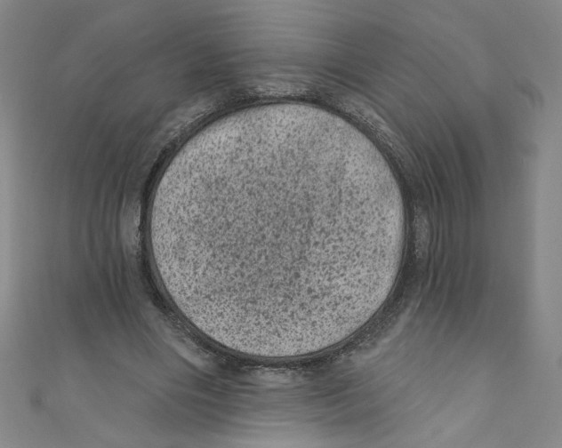 X0000110940490200907171611