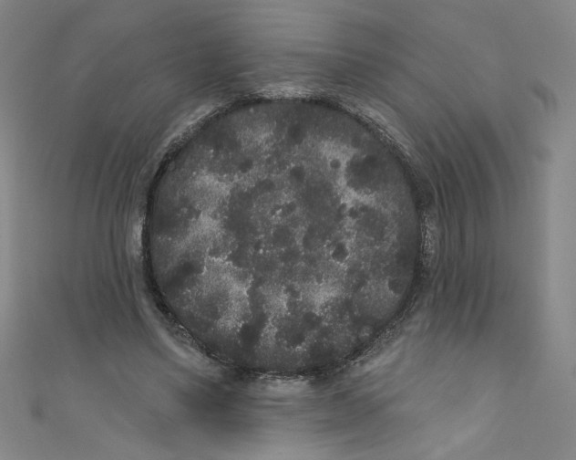 X0000110940491200907171611