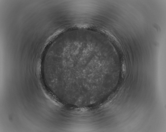 X0000110940492200907171611