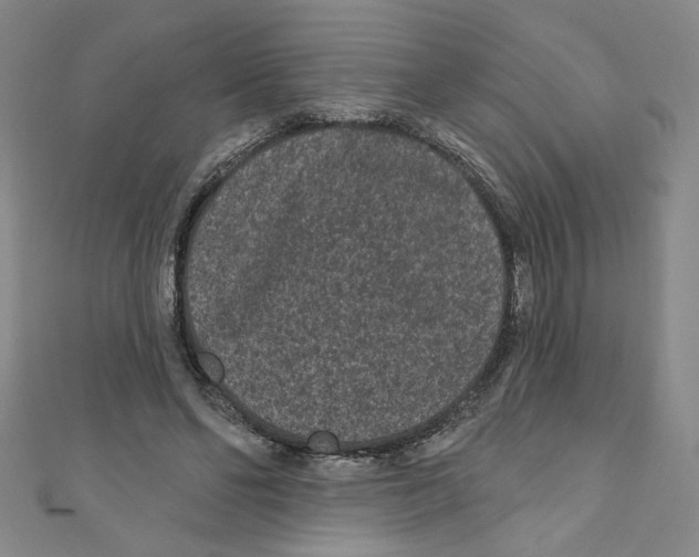 X0000110940494200907171611