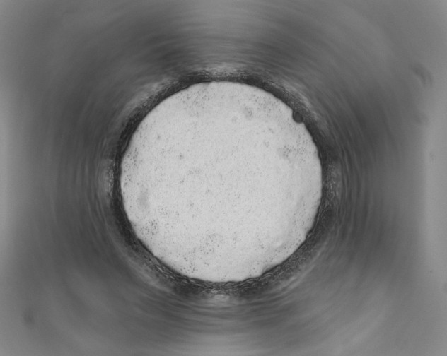 X0000110940495200907171611