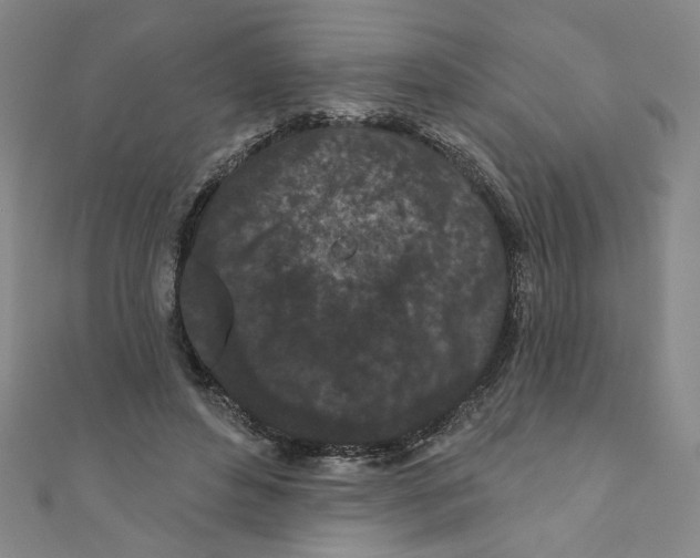 X0000110940496200907171611
