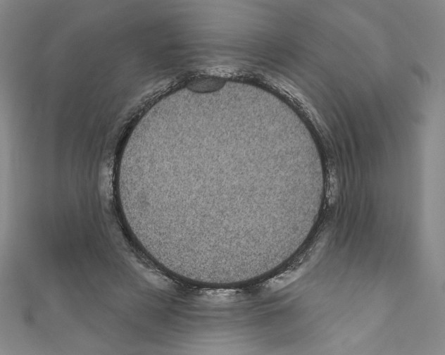 X0000110940497200907171611