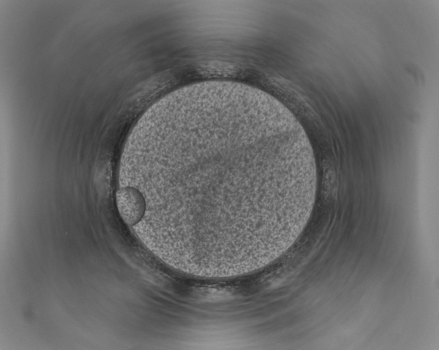 X0000110940498200907171611