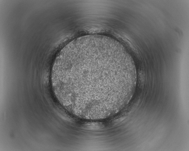 X0000110940499200907171611