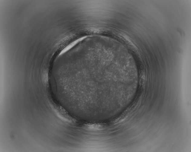 X0000110940500200907171611