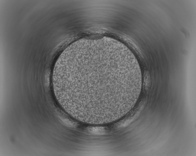 X0000110940501200907171611