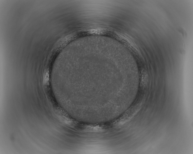 X0000110940502200907171611