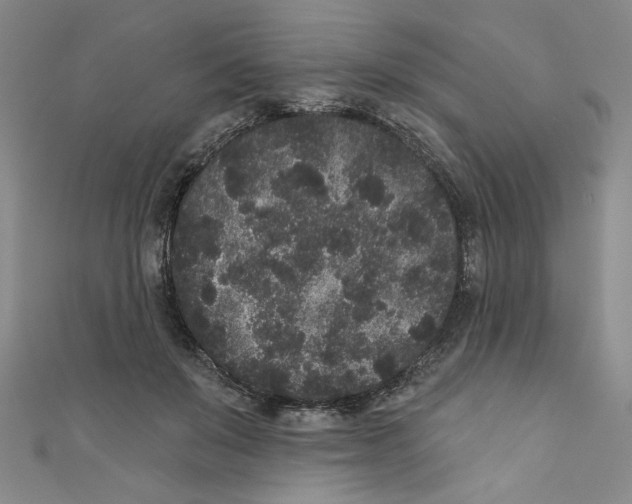 X0000110940503200907171611