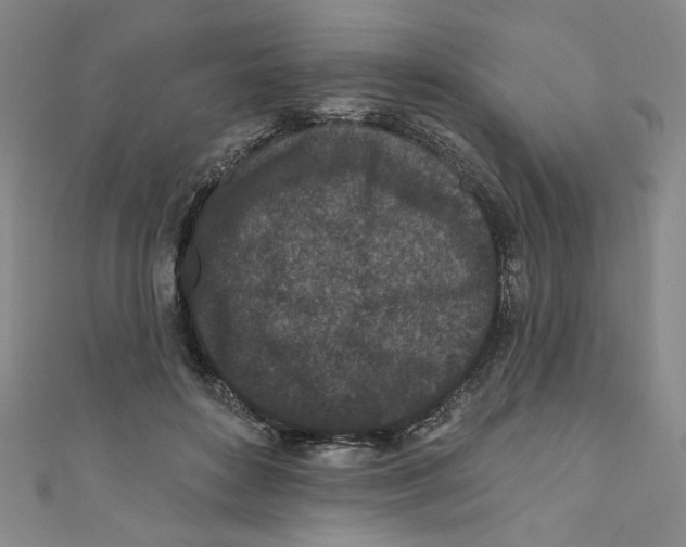 X0000110940504200907171611