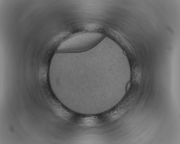 X0000110940505200907171611