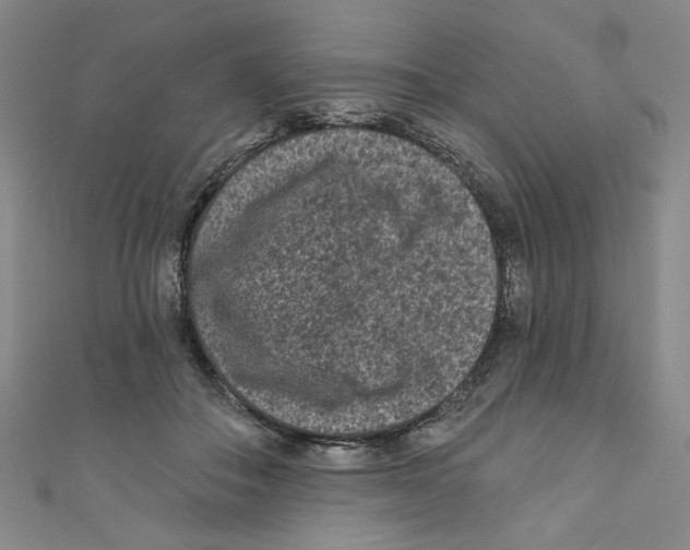 X0000110940506200907171611