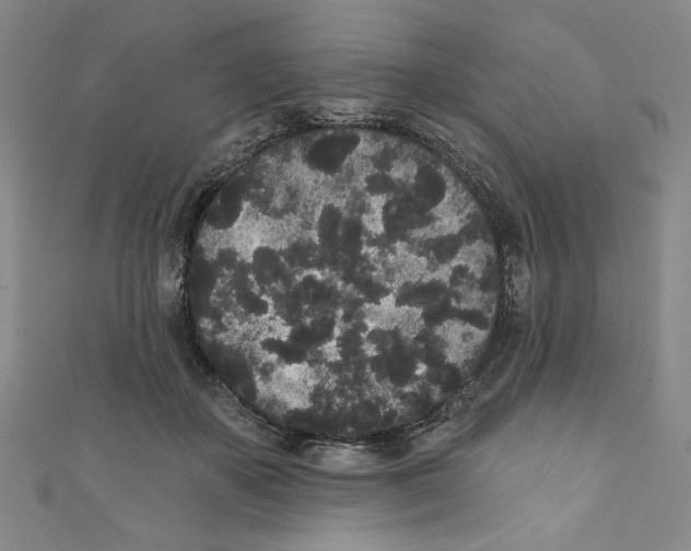 X0000110940507200907171611