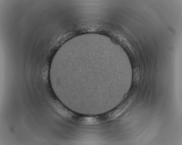 X0000110940509200907171611