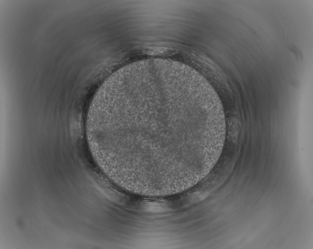X0000110940510200907171611