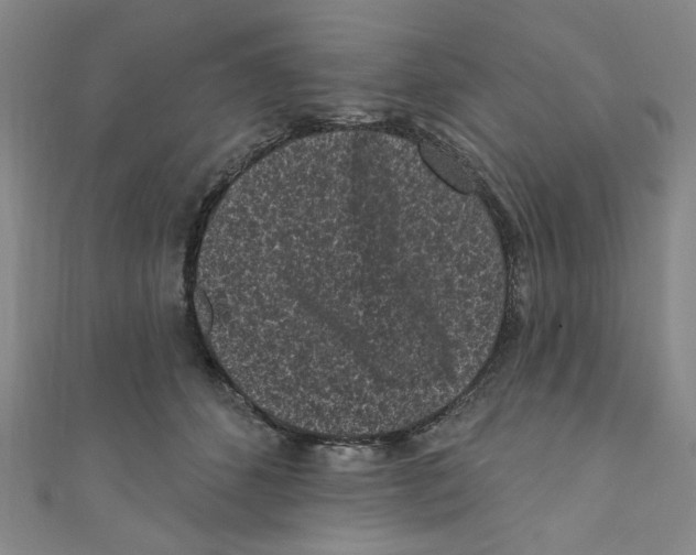 X0000110940512200907171611