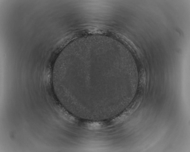 X0000110940513200907171611